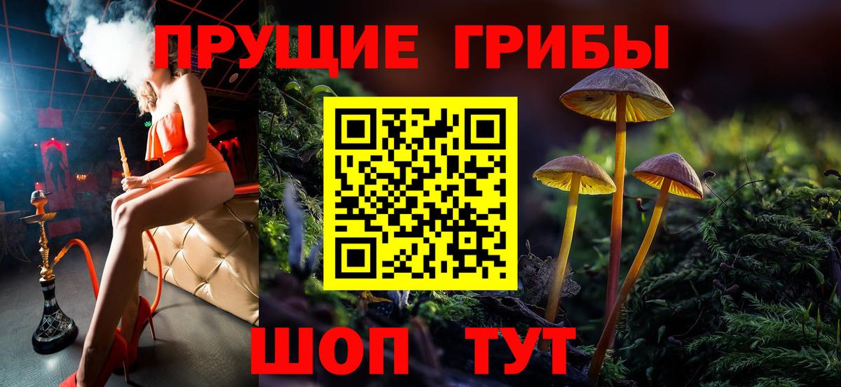 Галлюциногенные грибы MAGIC MUSHROOMS  Вход с VPN  Большой Камень 